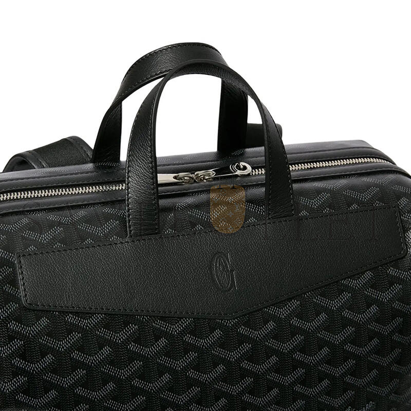 GOYARD CISALPIN BACKPACK CISALPMMLTY52CL01P (43*33*14cm)